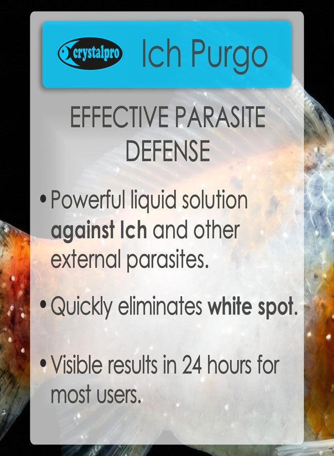 crystalpro Crystapro Ich Purgo - White Spot Cure - Ich - Ick Treatment - Effective and high Concentration 4.2 Oz (125ml) - Image 2